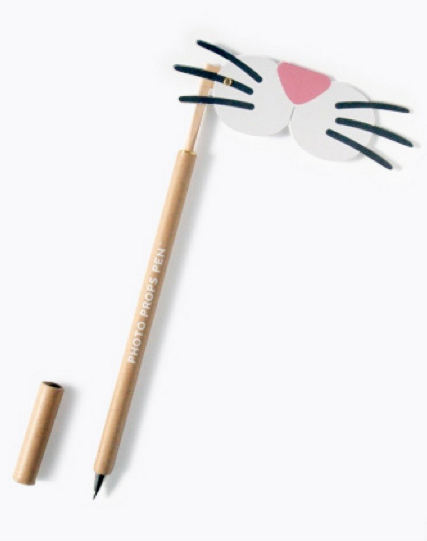 Photo props pen cat
