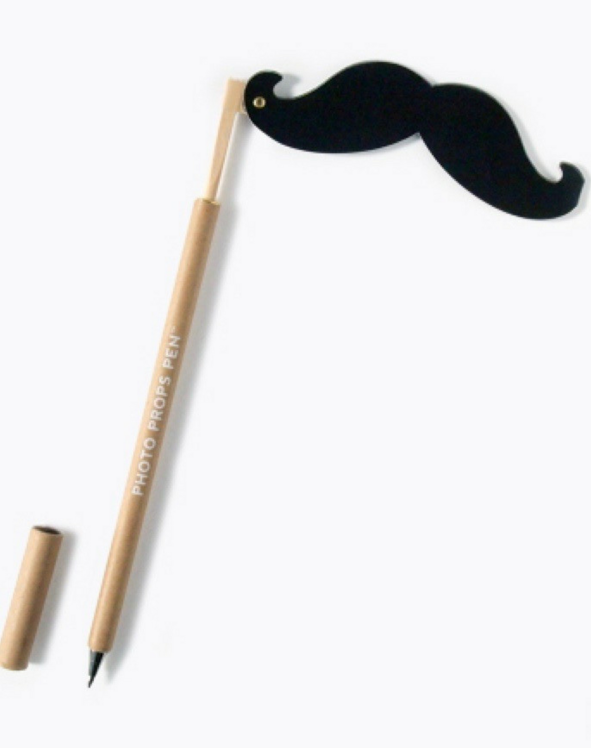 Photo props pen mustache
