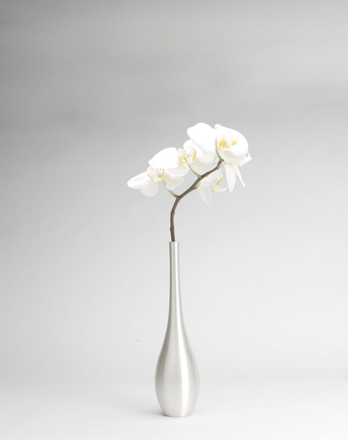 Vase Sorori silver large - MONOLAB