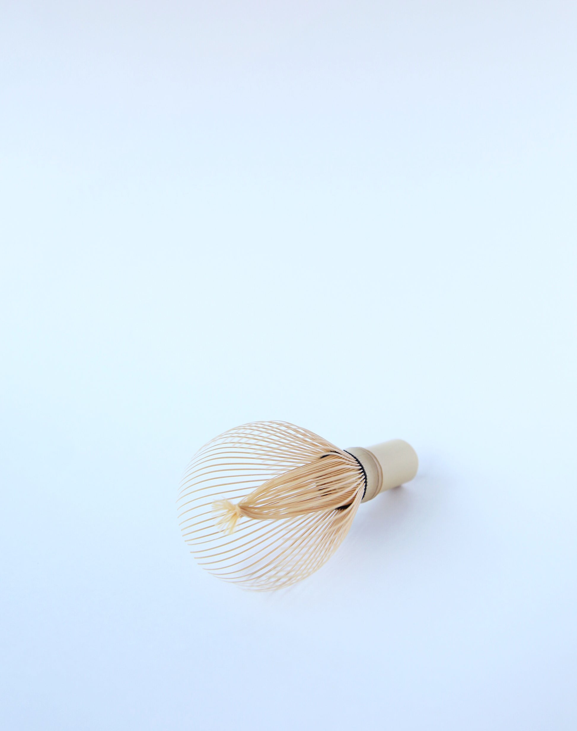 Matcha Chasen (Bamboo Whisk) - MONOLAB