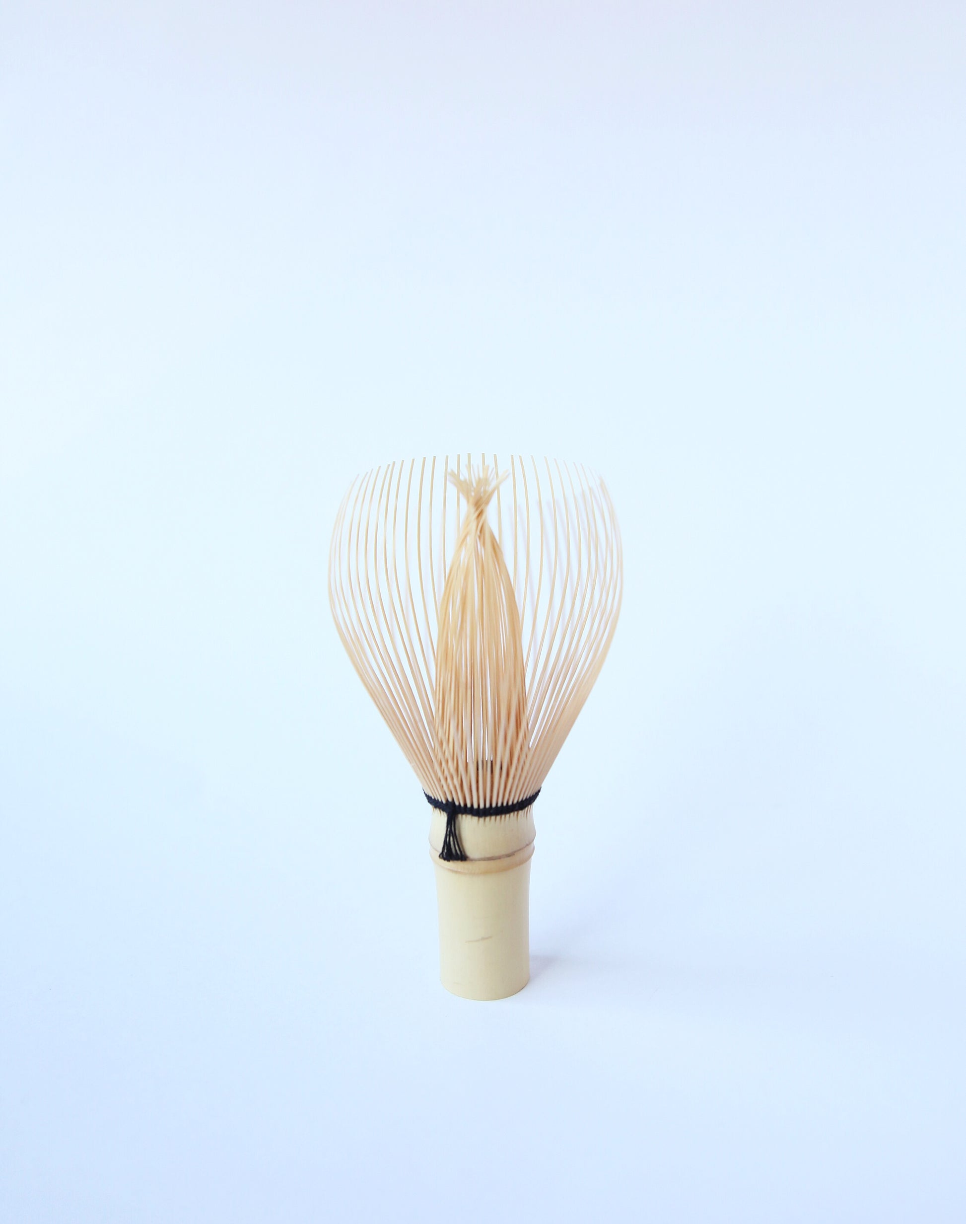 Matcha Chasen (Bamboo Whisk) - MONOLAB