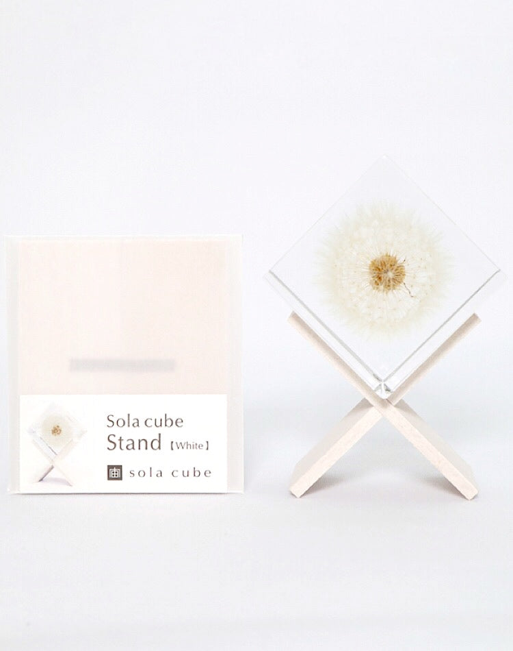 Sola Cube Stand(White)