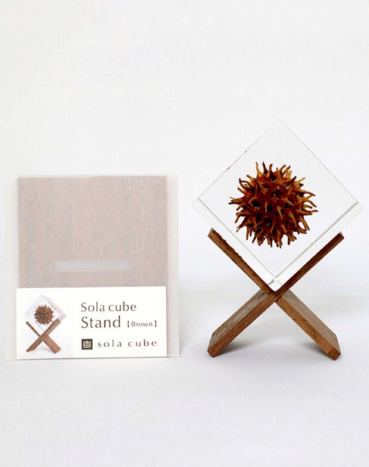 Sola Cube Stand(Brown)