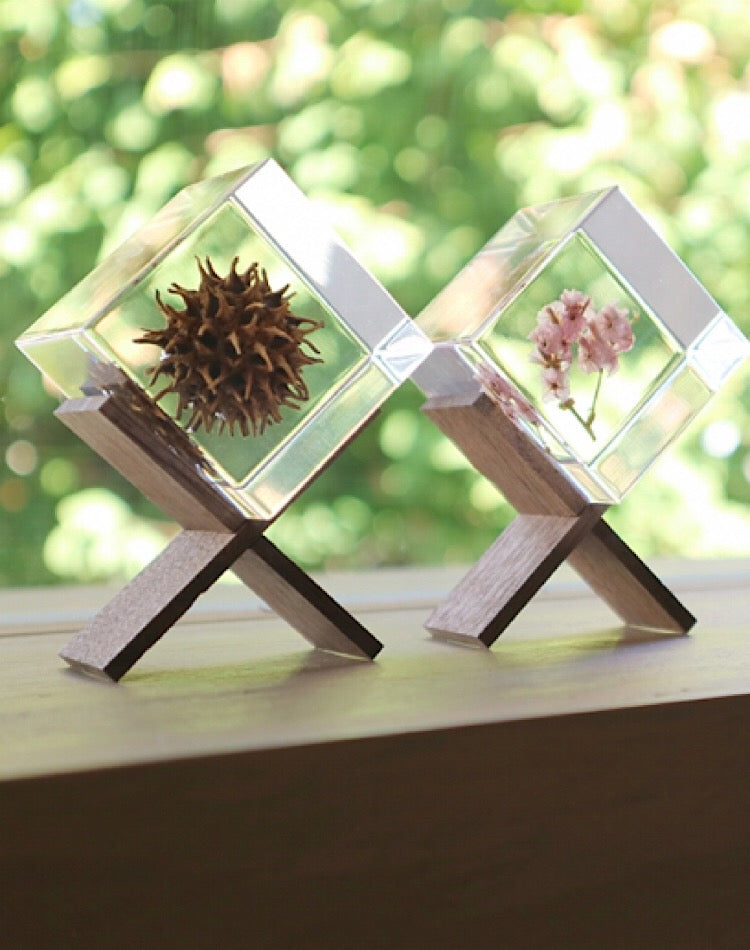 Sola Cube Stand(Brown)